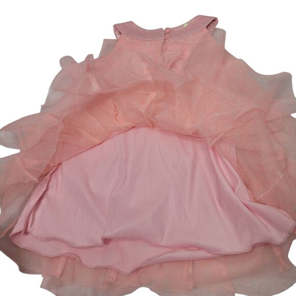 Baby Girl Bundle Of Dresses Flower Print And Pink In Size 2T Gentle Used - Picture 4 of 16